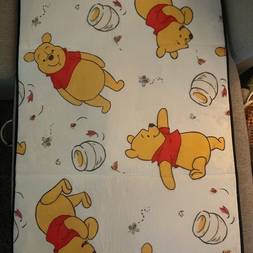 Winnie the Pooh rug